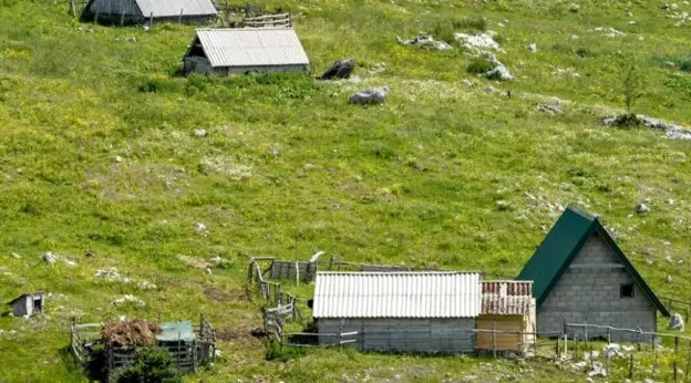 FAO i Crna Gora jačaju klimatsku akciju u poljoprivredi i šumarstvu